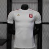 3b1e028b.jpg Lyon Concept Jersey 2025-26
