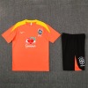41ba63bb9acc9806b3aeafacac7eadb7.jpg Brazil Training Jersey 2026 Adult