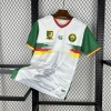 4fb05e84.jpg Cameroon AFCON 2025-26 Jersey