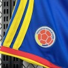 78cc0c0b.jpg Colombia 2026 World Cup Shorts