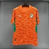 7b6bf413497e97e1b8d7157363a08b91.jpg Ivory Coast 2025/26 Special Edition Soccer Jersey