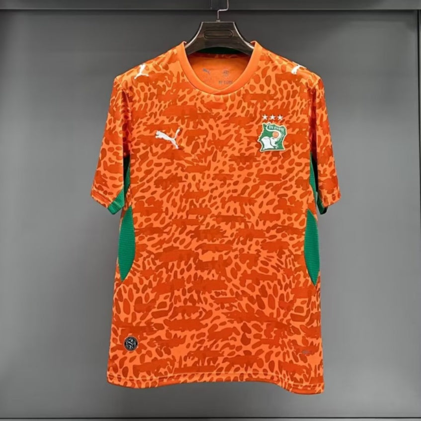 7b6bf413497e97e1b8d7157363a08b91.jpg Ivory Coast 2025/26 Special Edition Soccer Jersey