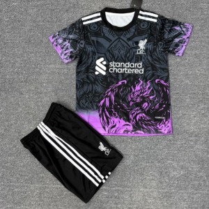 872e84d9f8bd1292d5cf3e8c45c7c135.jpg Liverpool Youth 2025/26 Special Purple Jersey