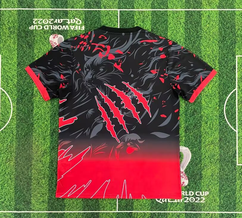 8cd431d798217e5dcd4a89e56e1f6ff5.jpg Brazil 2025/26 Special Red Jersey