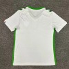AS Saint-Étienne Away Jersey 2024-2025