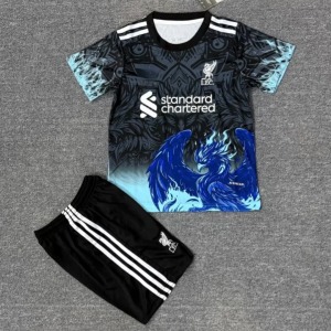 9c2458f95c8bfd9df88566bb802521dd.jpg Liverpool Youth 2025/26 Premium Blue Jersey