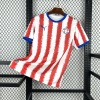 Paraguay 2026 World Cup Soccer Jersey