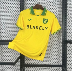 Norwich City Home Jersey 2025/26