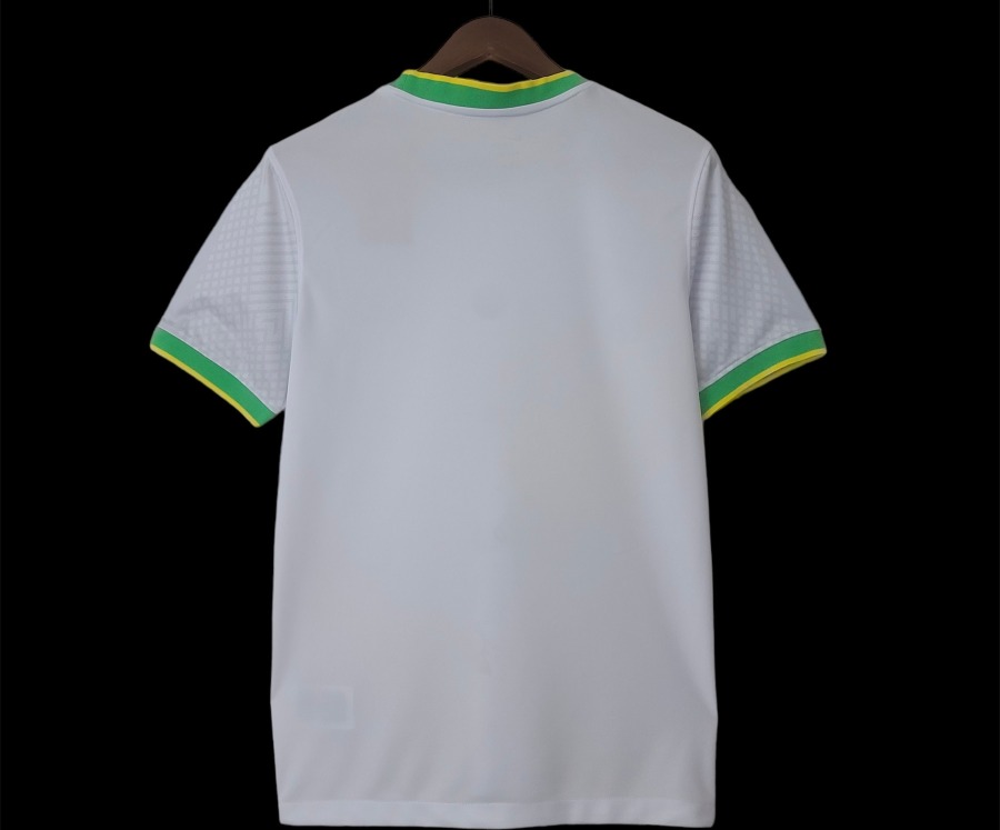 Brazil Limited Edition Soccer Jersey 2023/2024