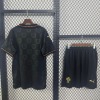 Portugal 2025/26 Adult Special Jersey