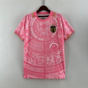 beb12b331bf1ecee4a6fdf8f6b704d62.jpg Italy 24/25 Pink Special Edition Jersey
