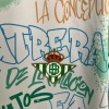 Real Betis Concept Jersey 2025-26
