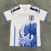 e07b3d1dc8e806f7c272fe59c38b785d.jpg Japan 2025/26 Special Blue Dragon Jersey