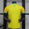 Brazil 2024 Authentic Premium Soccer Jersey