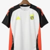Benfica Pre-Match Jersey 2024-2025