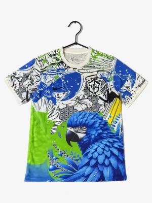Concept Jerseys Brazil 2025-2026