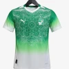 Ivory Coast Concept 2026 Soccer Jersey
