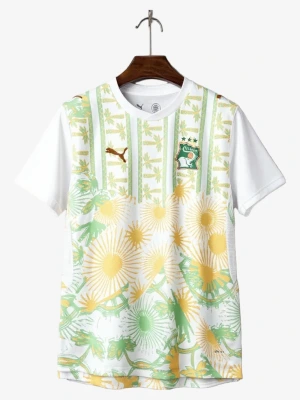 Ivory Coast Away Soccer Jersey 2026