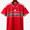 Wales 2026 Home Soccer Jersey