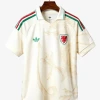 Wales Away Soccer Jersey 2026