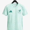 Mexico Away Soccer Jersey 2024