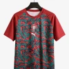 Portugal 2026/27 Special Red Soccer Jersey