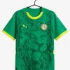 Senegal Away Soccer Jersey 2024-2025